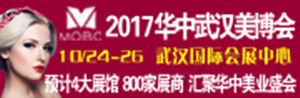 2017第11届华中国际美容美体化妆品博览会